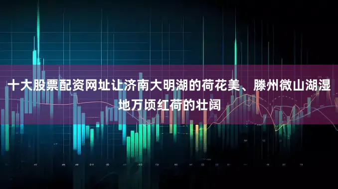 十大股票配资网址让济南大明湖的荷花美、滕州微山湖湿地万顷红荷的壮阔
