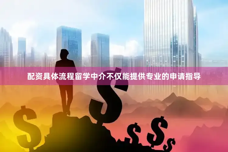配资具体流程留学中介不仅能提供专业的申请指导
